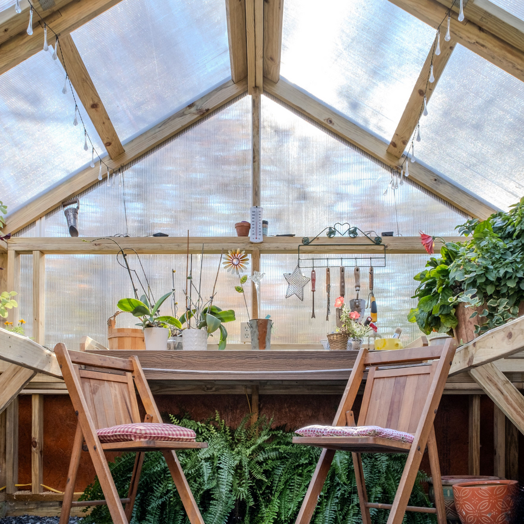 Greenhouse inside