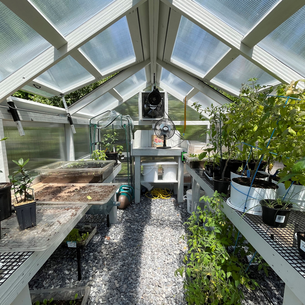 Greenhouse inside