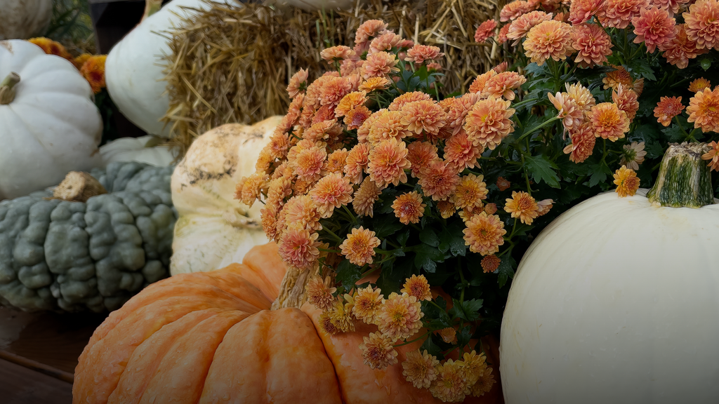 Fall decor at the Garden Center