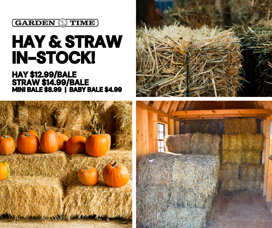 Hay and Straw on Sale